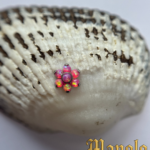 78
